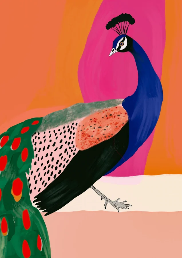 Beautiful Peacock