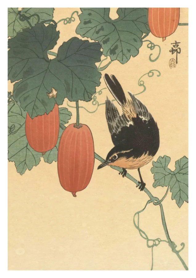Bird Persimmon