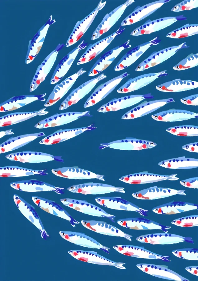 Fish Shoal