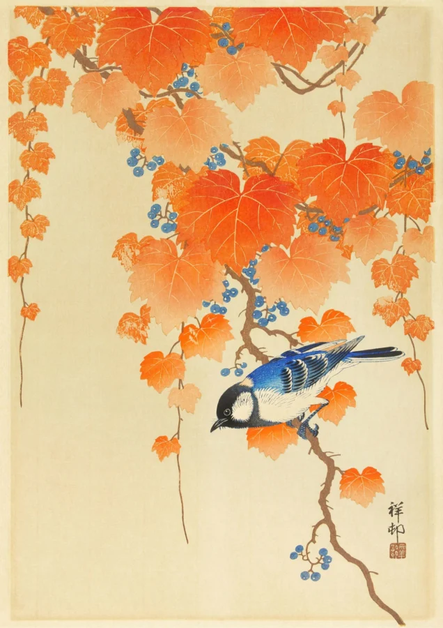 Great Tit Ohara Koson