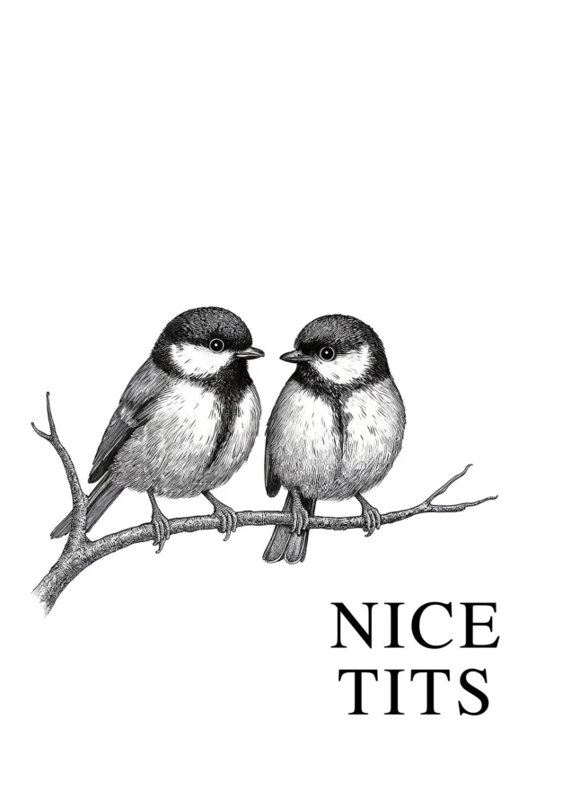 Nice Tits 1