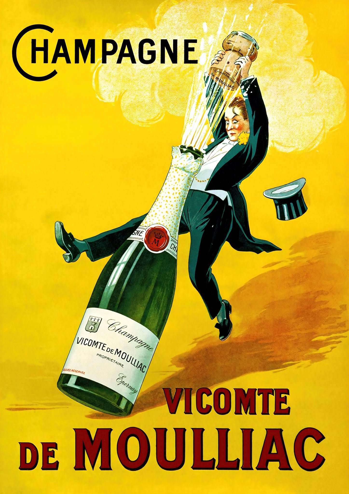 Vicomte De Moulliac Champagne Vintage Alcohol